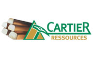 Cartier Resources logo