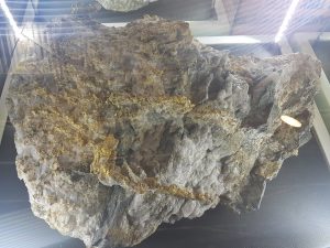 High grade gold in rock from Australia