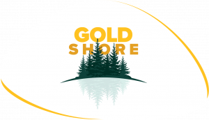 GoldShore Resources